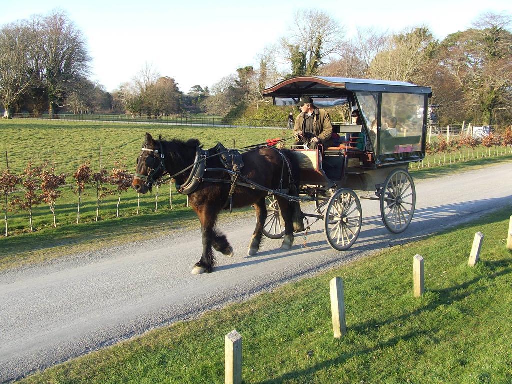 Rockfield House B&B Killarney Exteriér fotografie